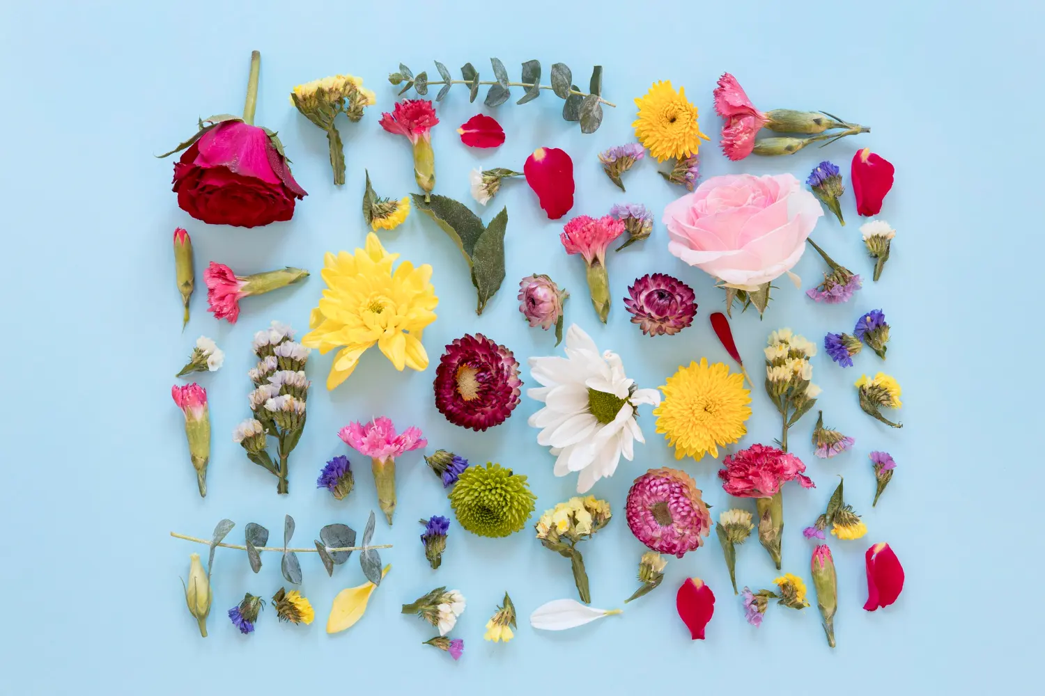 Flower Types